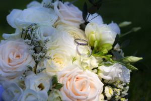 Img 8890 1